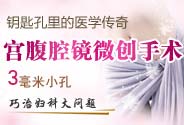 芬蘭乳腺